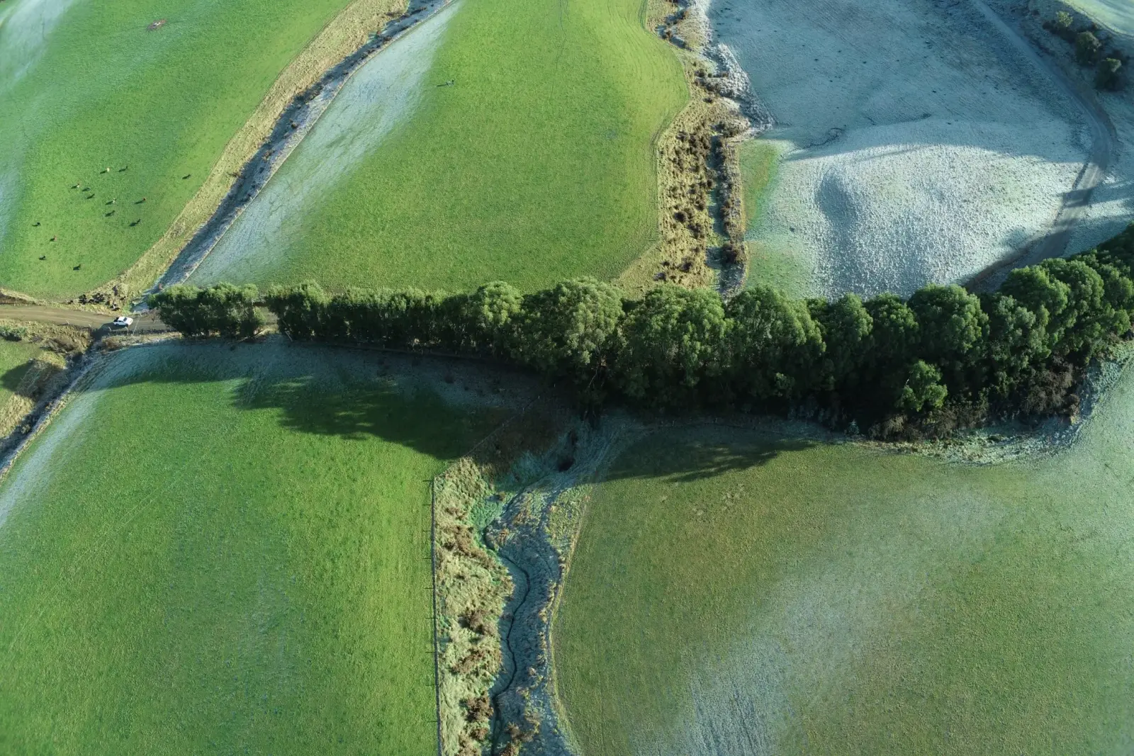 Aerial view of Southland farmland surveyed for farm mapping